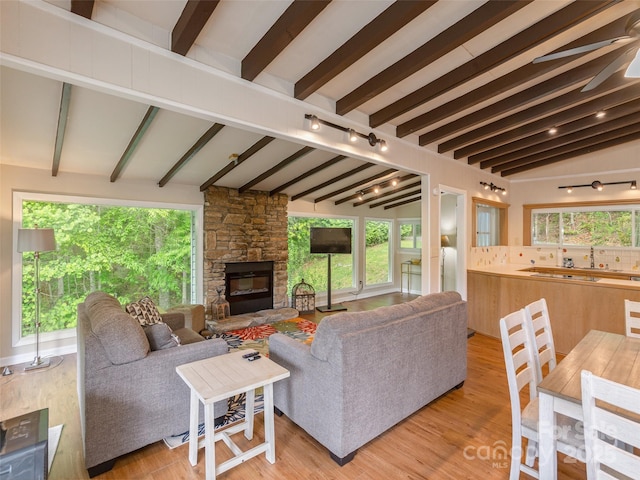 living room with a fireplace, wood finished floors, and rail lighting