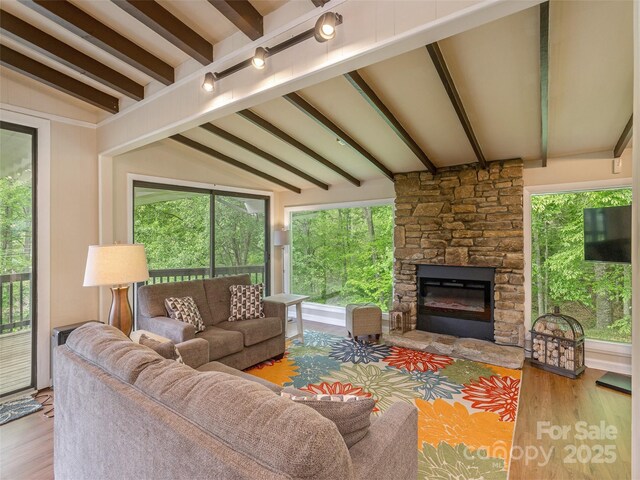 living area featuring wood finished floors, plenty of natural light, and a stone fireplace