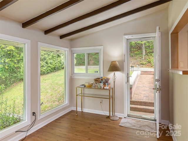 doorway to outside with plenty of natural light, wood finished floors, and baseboards