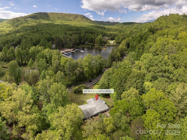view of property location featuring a forest and a water and mountain view