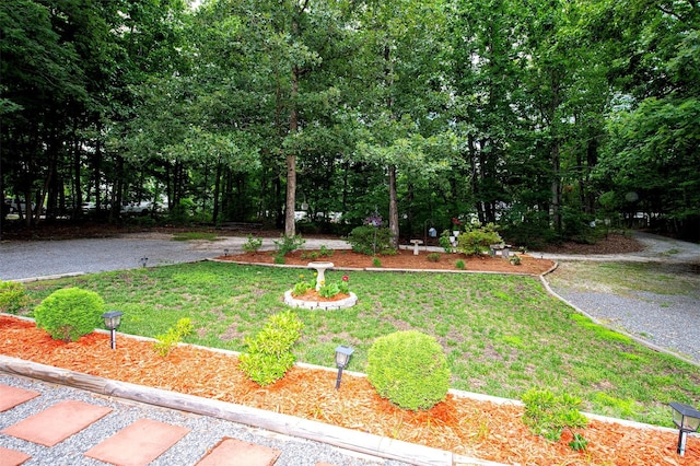 475 Dot Faris Rd, Catawba, SC 29704 - view of grassy yard