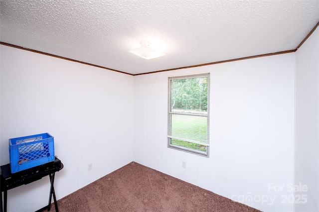 475 Dot Faris Rd, Catawba, SC 29704 - spare room featuring crown molding, carpet, and a textured ceiling