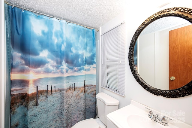 475 Dot Faris Rd, Catawba, SC 29704 - bathroom featuring toilet, a textured ceiling, and vanity