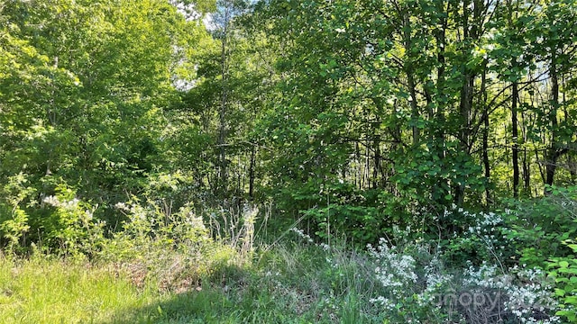 99999 Bachelder Ln, Candler, NC 28715
