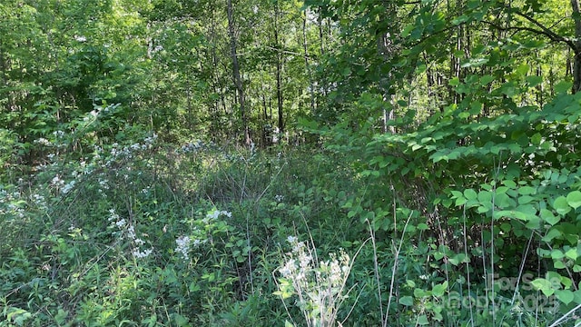99999 Bachelder Ln, Candler, NC 28715
