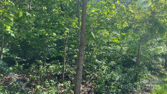 99999 Bachelder Ln, Candler, NC 28715