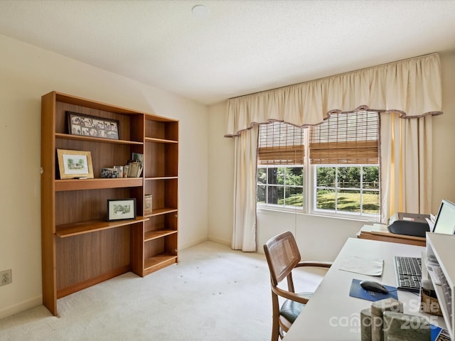 home office with light colored carpet and baseboards