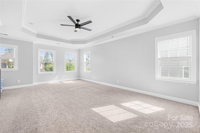 spare room featuring a raised ceiling, ornamental molding, ceiling fan, carpet, and baseboards