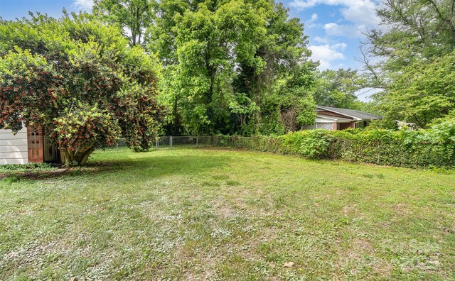 506 7th St SW, Hickory, NC 28602 - view of yard