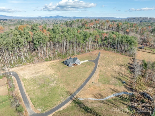00 Kelly Daniele Ln Unit 4, Hendersonville, NC 28739
