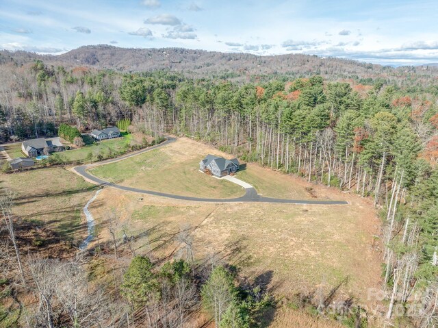 00 Kelly Daniele Ln Unit 5, Hendersonville, NC 28739