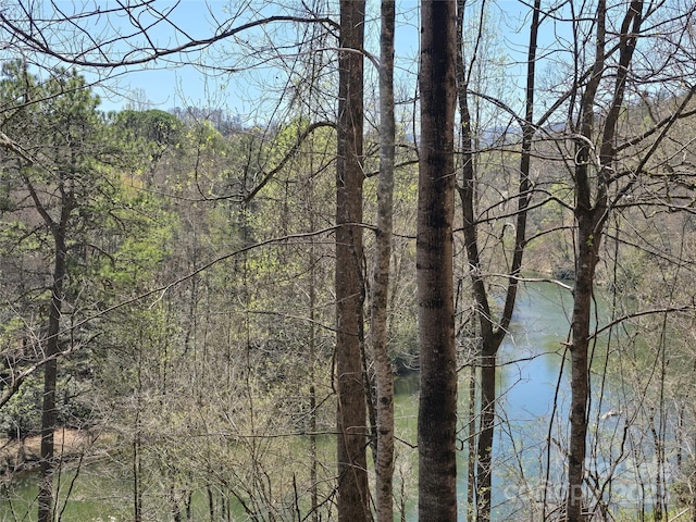 0 Riverside Dr Unit 18, Whittier, NC 28789