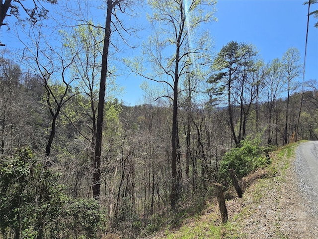 0 Riverside Dr Unit 18, Whittier, NC 28789