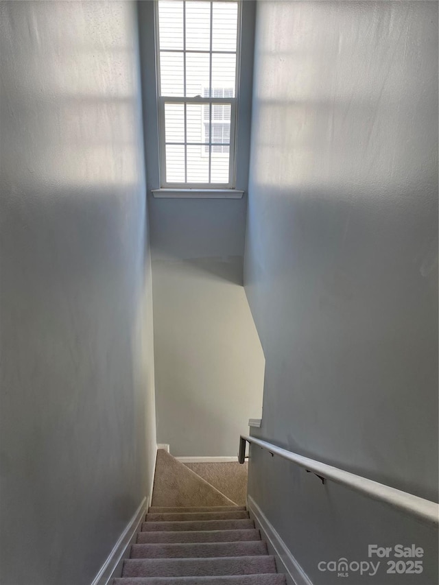 stairway with carpet floors