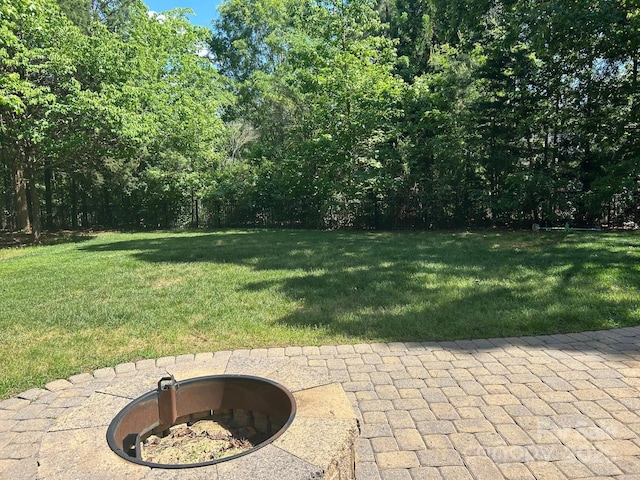 1108 Longwood Ct, Matthews, NC 28104 - view of green lawn