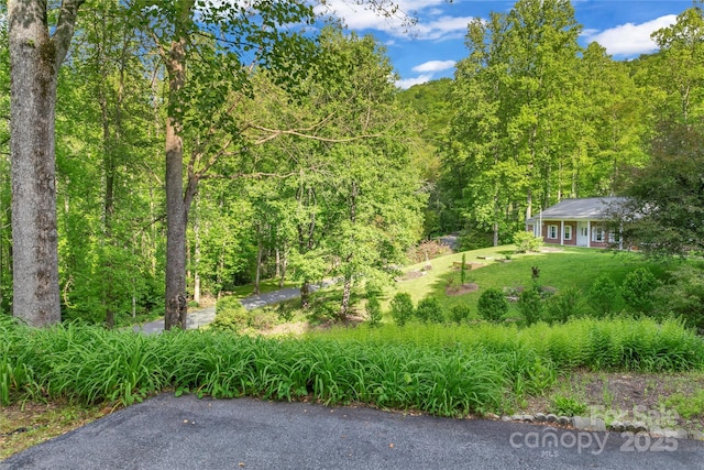 28 Big Rock Rd, Pisgah Forest, NC 28768 - photo 39