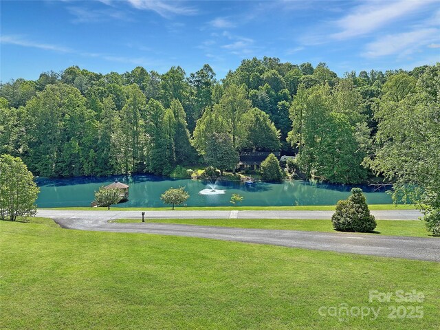 207 Lakeview Dr, Marion, NC 28752 - photo 4