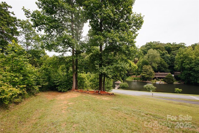 207 Lakeview Dr, Marion, NC 28752 - photo 17