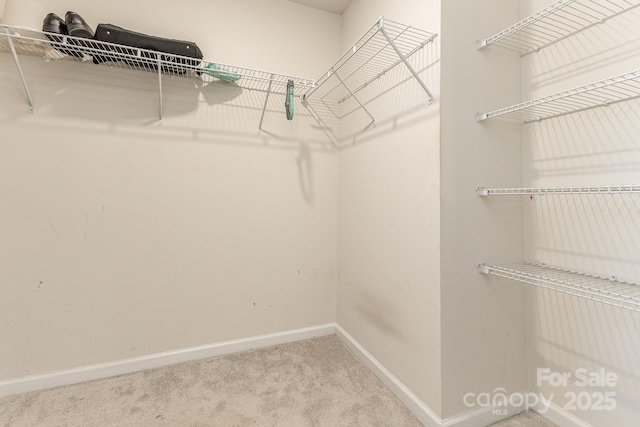 spacious closet with carpet floors