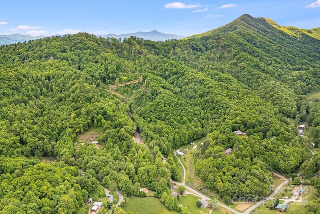 99999 Hookers Gap Rd, Leicester, NC 28748