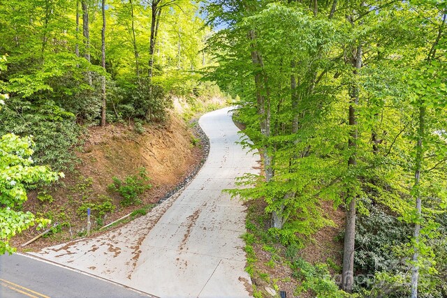 99999 Hookers Gap Rd, Leicester, NC 28748