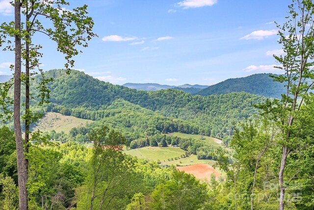 99999 Hookers Gap Rd, Leicester, NC 28748