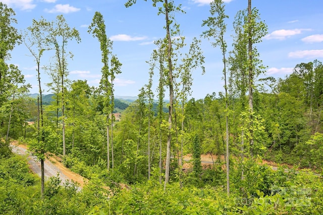 99999 Hookers Gap Rd, Leicester, NC 28748