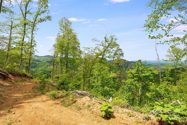 99999 Hookers Gap Rd, Leicester, NC 28748