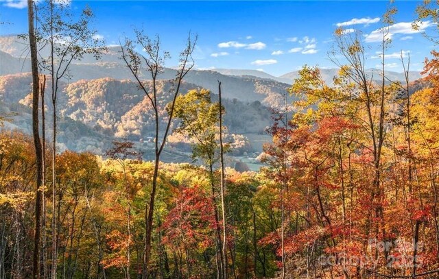99999 Hookers Gap Rd, Leicester, NC 28748