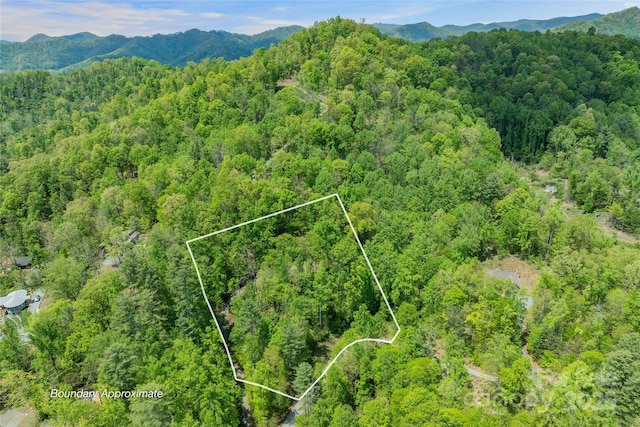271 Amanda Dr Lot 6A, Mars Hill, NC 28754