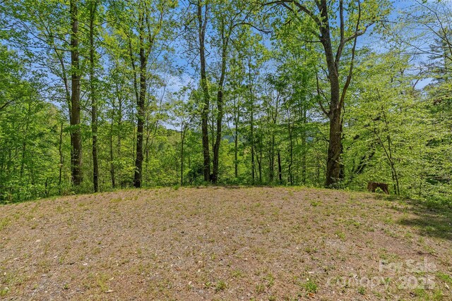 271 Amanda Dr Lot 6A, Mars Hill, NC 28754