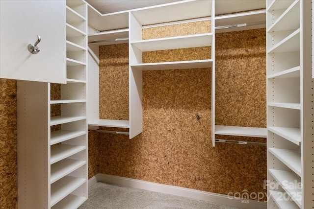 452 Kyfields, Weaverville, NC 28787 - view of spacious closet
