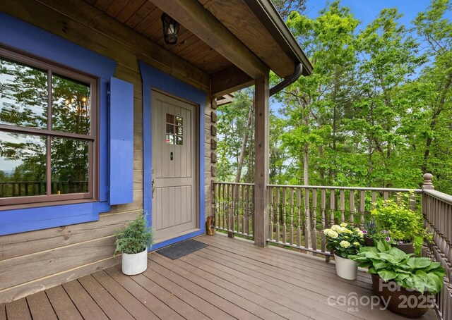 106 Mccauley Dr, Asheville, NC 28803 - photo 5