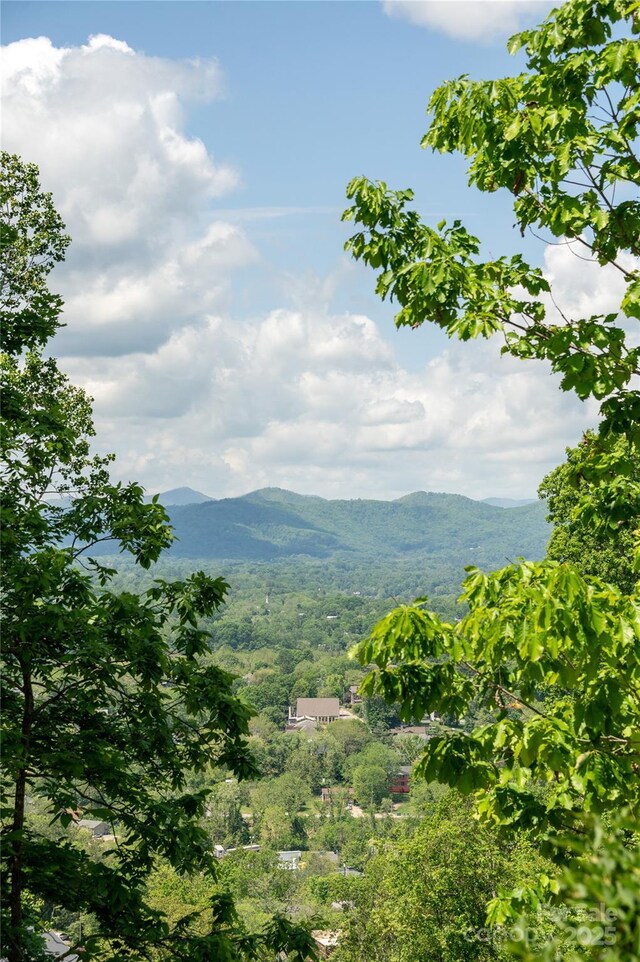 106 Mccauley Dr, Asheville, NC 28803 - photo 37