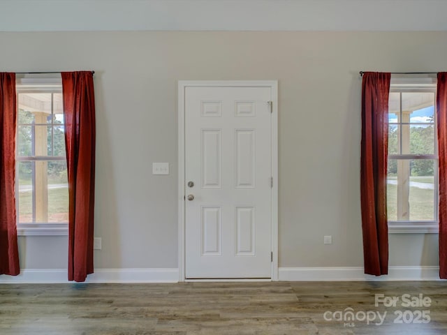 1454 King Rd, York, SC 29745 - foyer entrance featuring wood finished floors, plenty of natural light, and baseboards