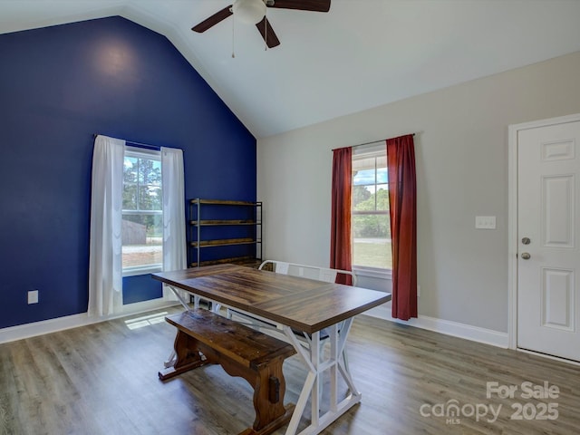 1454 King Rd, York, SC 29745 - dining space featuring a ceiling fan, plenty of natural light, wood finished floors, and lofted ceiling
