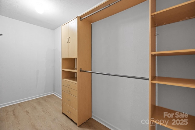 spacious closet with light wood finished floors