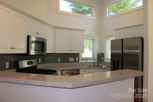 kitchen featuring a wealth of natural light, stainless steel appliances, a towering ceiling, and a sink