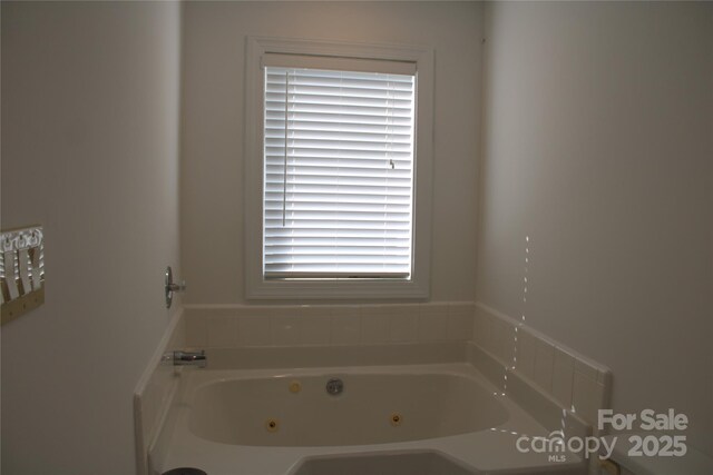 14621 Waterside Dr, Charlotte, NC 28278 - bathroom with a jetted tub