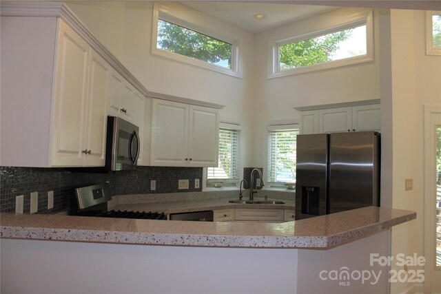 14621 Waterside Dr, Charlotte, NC 28278 - kitchen featuring stainless steel appliances, a sink, a high ceiling, plenty of natural light, and light stone countertops