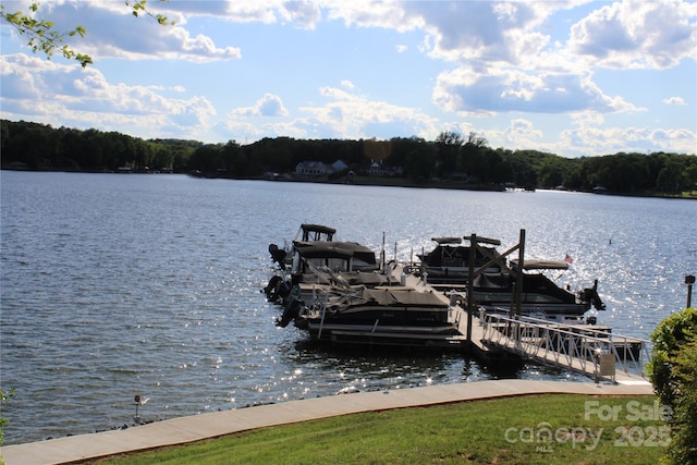 dock area featuring a water view