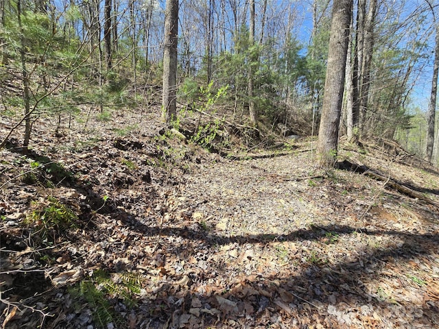00 Riverside Dr Unit 33/34, Whittier, NC 28789
