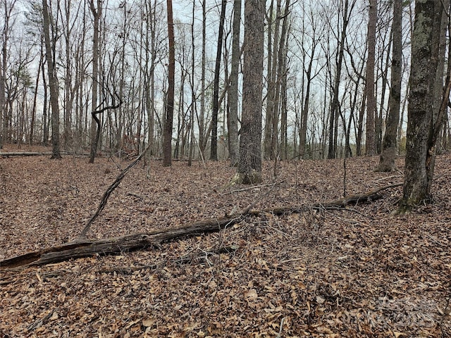 000 Weaver Mill Rd, Columbus NC, 28722 land for sale