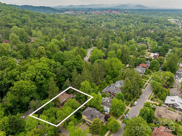 118 Macon Ave, Asheville, NC 28801 - aerial overview of property's location with property parcel outlined and a heavily wooded area