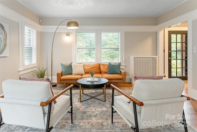 118 Macon Ave, Asheville, NC 28801 - living area featuring wood finished floors, baseboards, radiator, and crown molding