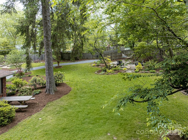 118 Macon Ave, Asheville, NC 28801 - view of yard