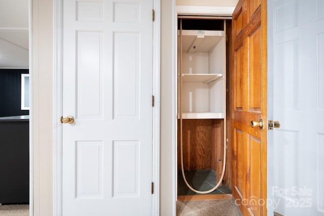 200 Allen Mountain Dr, Black Mountain, NC 28711 - view of closet