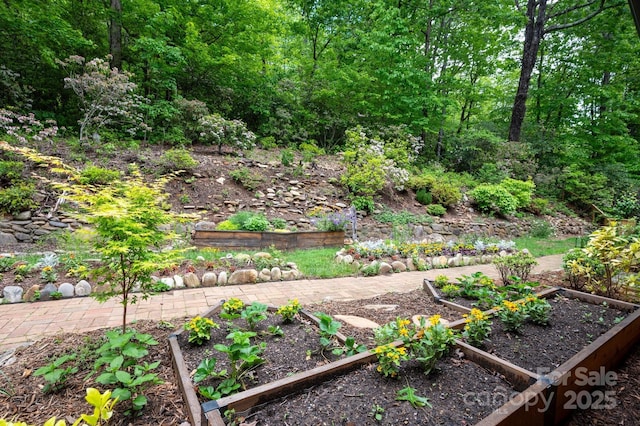 200 Allen Mountain Dr, Black Mountain, NC 28711 - view of yard with a garden