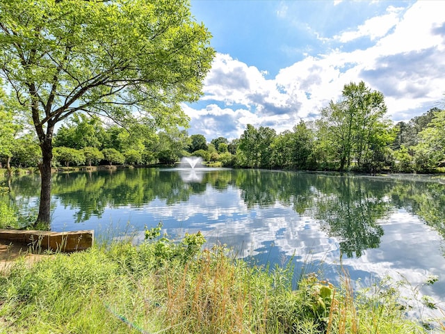 2315 Lawton Bluff Rd, Charlotte, NC 28226 - water view with a heavily wooded area