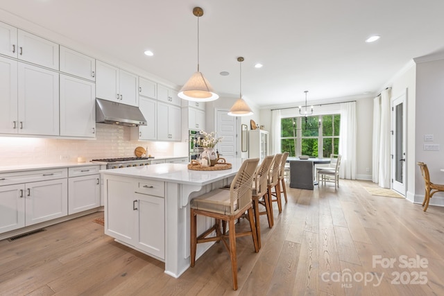 1445 Cherry Laurel Dr, Waxhaw, NC 28173 - kitchen featuring under cabinet range hood, crown molding, white cabinetry, light wood-style floors, and tasteful backsplash